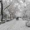 Se cumplen 7 años de las nevadas en Extremadura en enero de 2010, ¿Cómo ocurrió?