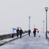 Se cumplen 7 años de las nevadas en Extremadura en enero de 2010, ¿Cómo ocurrió?