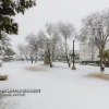 Se cumplen 7 años de las nevadas en Extremadura en enero de 2010, ¿Cómo ocurrió?