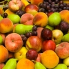 265 toneladas de fruta para los escolares de la región