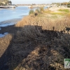 El río Guadiana se vacía para facilitar la limpieza de camalote