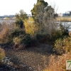 El río Guadiana se vacía para facilitar la limpieza de camalote