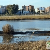 El río Guadiana se vacía para facilitar la limpieza de camalote