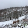 El Puerto de Honduras (Cáceres) continúa cerrado por nieve