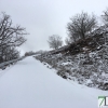El Puerto de Honduras (Cáceres) continúa cerrado por nieve