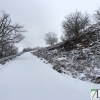 El Puerto de Honduras (Cáceres) continúa cerrado por nieve