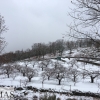 El Puerto de Honduras (Cáceres) continúa cerrado por nieve