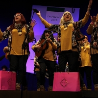 Ya se conocen los participantes del concurso de comparsas y chirigotas de Mérida