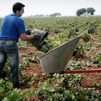 La Unión exige que se paguen las ayudas a los jóvenes agricultores