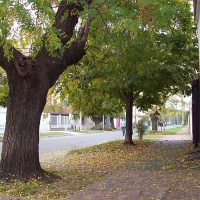 Mérida elimina el glifosato como herbicida