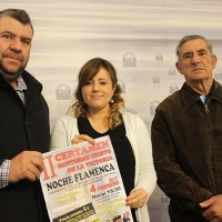 Noche flamenca a beneficio del asilo de Mérida