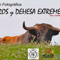 La exposición fotográfica “Toros y Dehesa” continúa recorriendo Extremadura