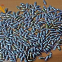 La Guardia Civil interviene a una pareja más de dos kilos y medio de droga