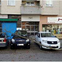 Choca contra un árbol y ocasiona daños en tres vehículos estacionados