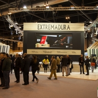 PP: “Mérida ha estado desaparecida en FITUR”