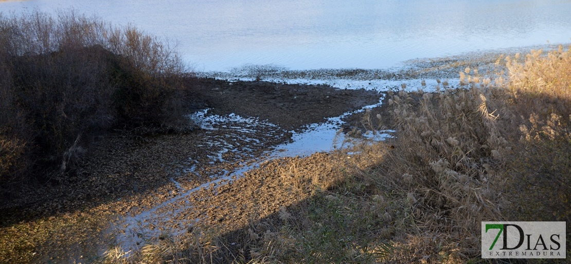 El río Guadiana se vacía para facilitar la limpieza de camalote