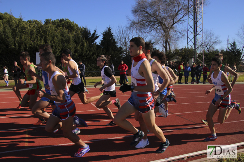 Imágenes del Trofeo de atletismo Diputación de Badajoz