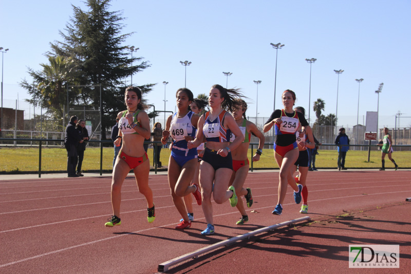 Imágenes del Trofeo de atletismo Diputación de Badajoz