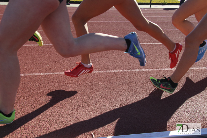 Imágenes del Trofeo de atletismo Diputación de Badajoz