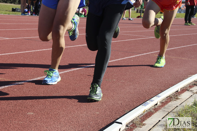 Imágenes del Trofeo de atletismo Diputación de Badajoz