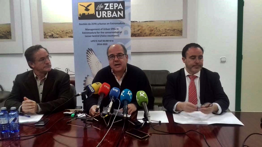 Medio Ambiente prepara actuaciones para la conservación del cernícalo primilla