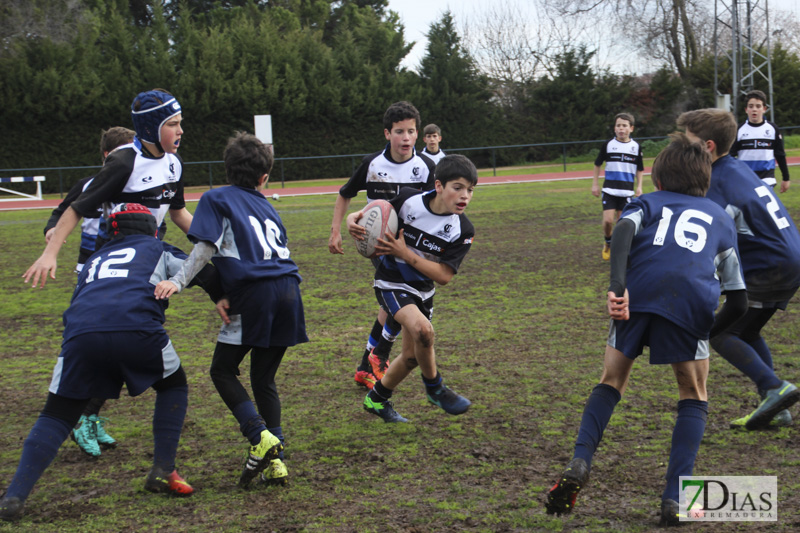 Imágenes de la convivencia Internacional de rugby en Badajoz