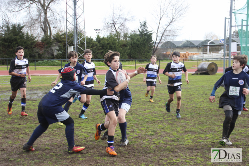 Imágenes de la convivencia Internacional de rugby en Badajoz