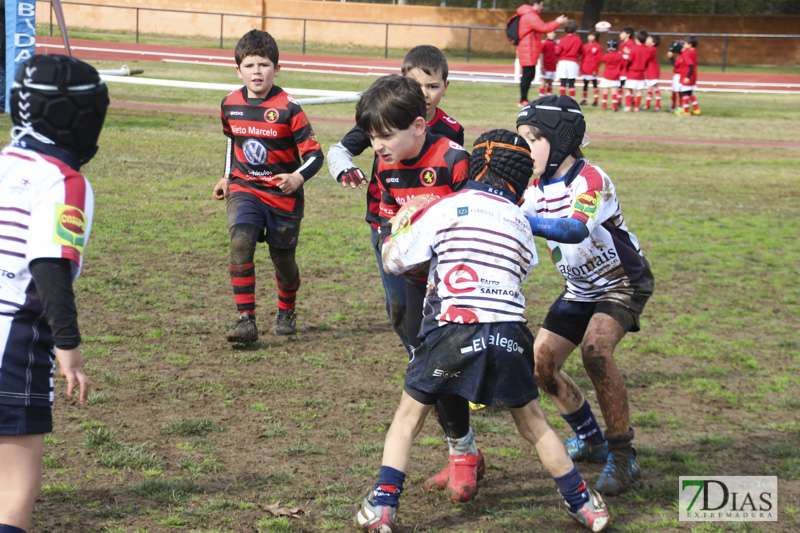 Imágenes de la convivencia Internacional de rugby en Badajoz