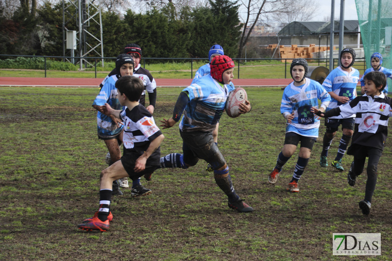 Imágenes de la convivencia Internacional de rugby en Badajoz