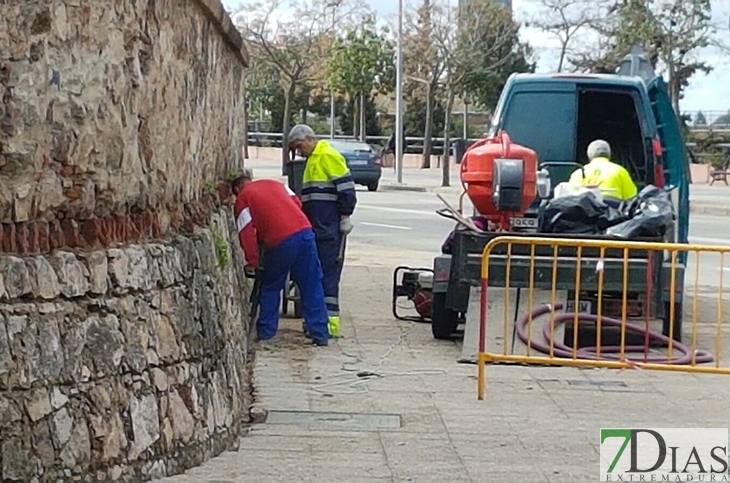 La Cívica denuncia daños irreparables en la Muralla Abaluartada