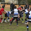 Imágenes de la convivencia Internacional de rugby en Badajoz