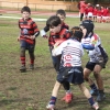 Imágenes de la convivencia Internacional de rugby en Badajoz