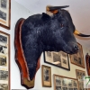 Badajoz cuenta con un Museo Taurino &quot;único en el mundo&quot;