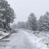 Fotografías de la nieve caída ayer en la Sierra de San Mamede