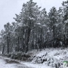 Fotografías de la nieve caída ayer en la Sierra de San Mamede