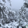 Fotografías de la nieve caída ayer en la Sierra de San Mamede