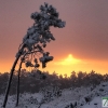 Fotografías de la nieve caída ayer en la Sierra de San Mamede