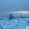 Fotografías de la nieve caída ayer en la Sierra de San Mamede