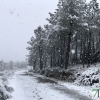 Fotografías de la nieve caída ayer en la Sierra de San Mamede