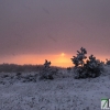 Fotografías de la nieve caída ayer en la Sierra de San Mamede