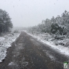 Fotografías de la nieve caída ayer en la Sierra de San Mamede