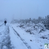 Fotografías de la nieve caída ayer en la Sierra de San Mamede