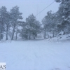 Fotografías de la nieve caída ayer en la Sierra de San Mamede