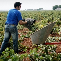 Aprobados 20 millones de euros para la incorporación de jóvenes agricultores