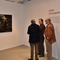 El MEIAC acoge la exposición Di/Vide, del portugués Carlos Gasparinho