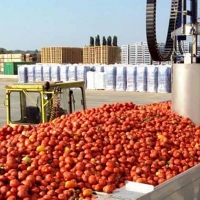La Unión denuncia prácticas “anticompetitivas” en el sector del tomate