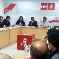 La Regional Socialista da luz verde a la moción