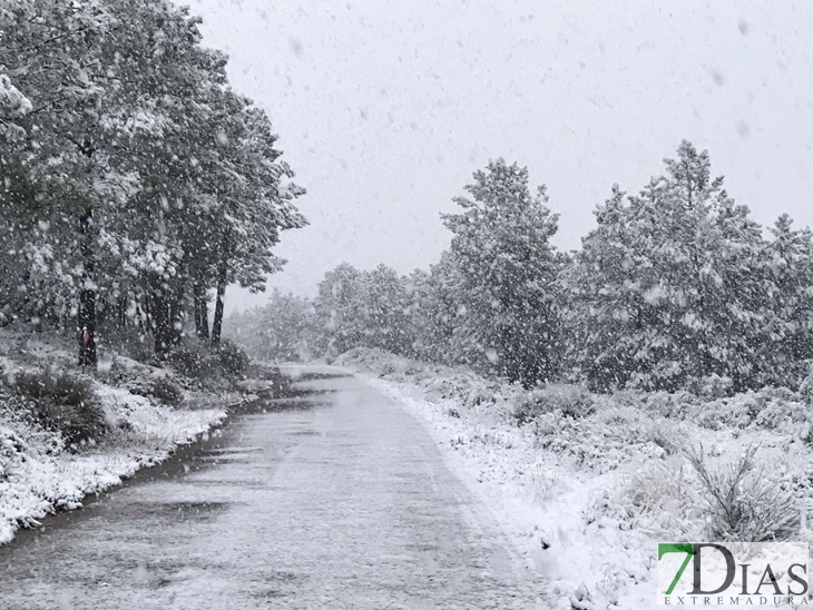 Así nevaba esta tarde a 45 minutos de Badajoz