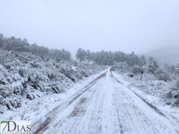 Fotografías de la nieve caída ayer en la Sierra de San Mamede