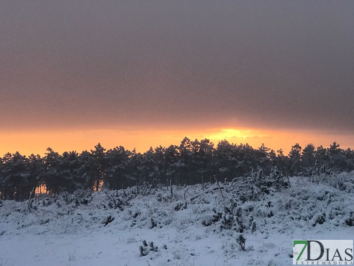 Fotografías de la nieve caída ayer en la Sierra de San Mamede